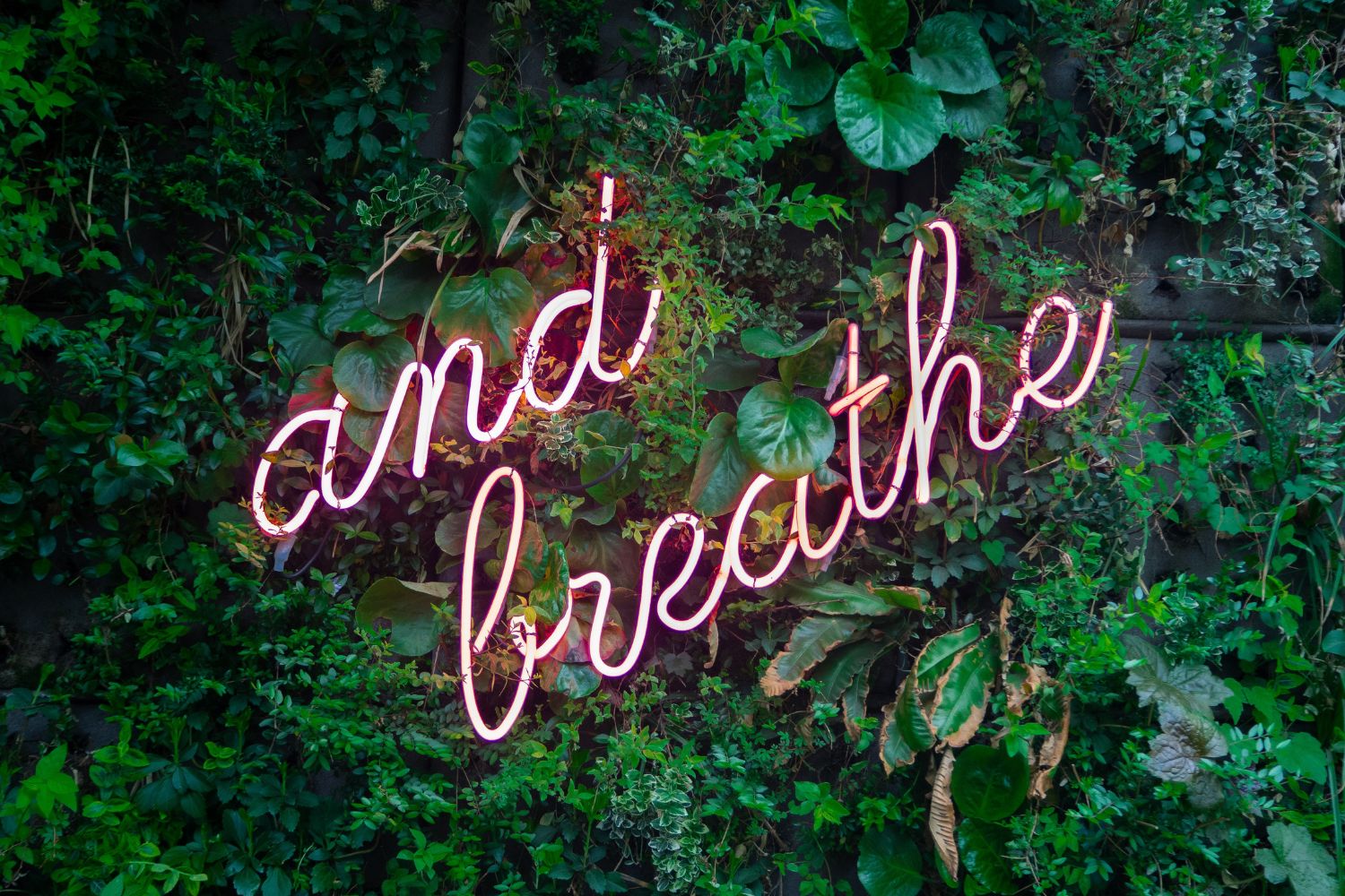 breathe napis